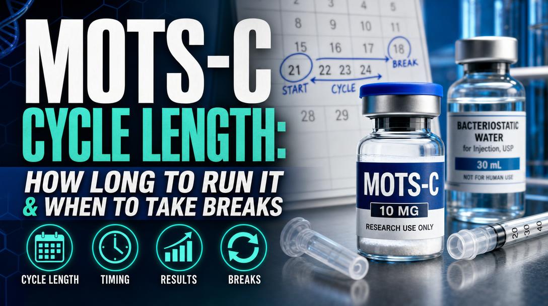 MOTS-C Cycle Length: How Long To Run It & When To Take Breaks